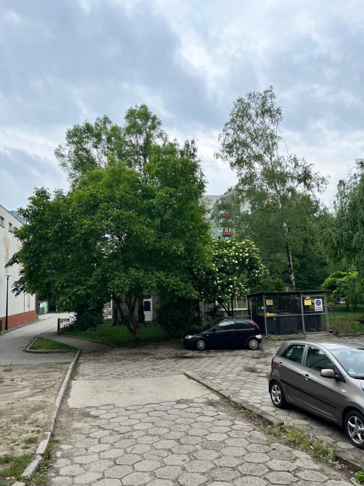 Nocleg Opole Kopernik Apartament المظهر الخارجي الصورة
